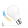 LAMPADA LED A60 E27 5W SMART CCT+DIM CLEAR WI-FI