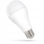 LAMPADA LED 15W CW 6000K 1600LM GLS A65 E27 230V SPECTRUM