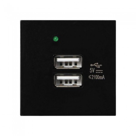 NOEN USB double port module for furniture connection panel, with USB charger, black can be installed