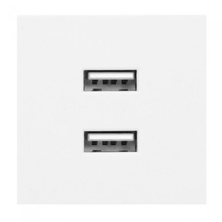 NOEN USB double port module for furniture connection panel, with USB charger, white can be installed
